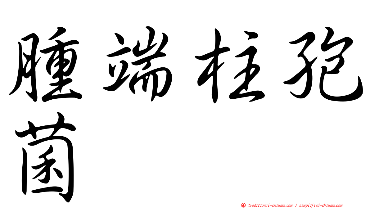 腫端柱孢菌