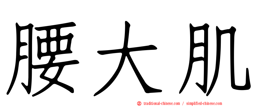 腰大肌