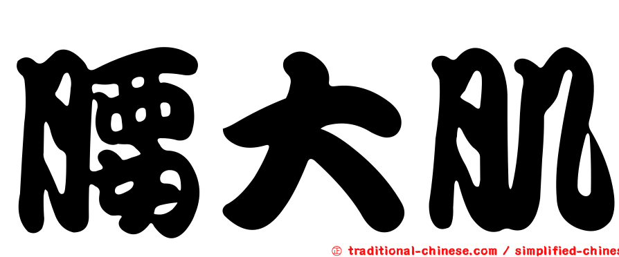 腰大肌