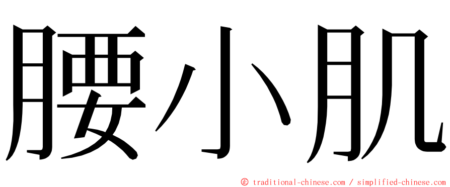 腰小肌 ming font