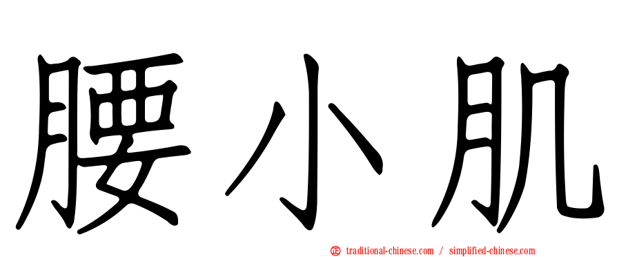 腰小肌