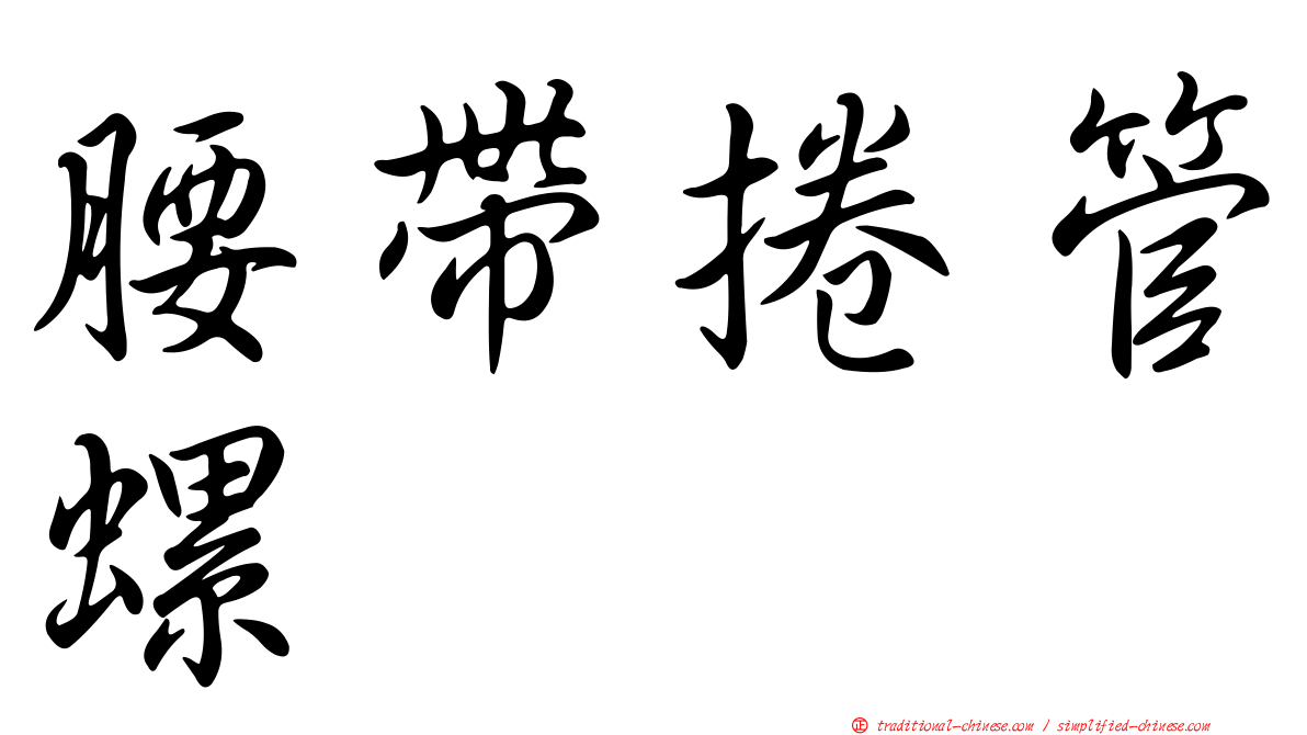 腰帶捲管螺