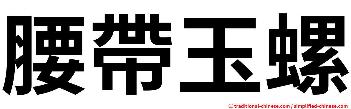 腰帶玉螺