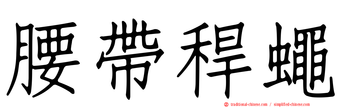 腰帶稈蠅