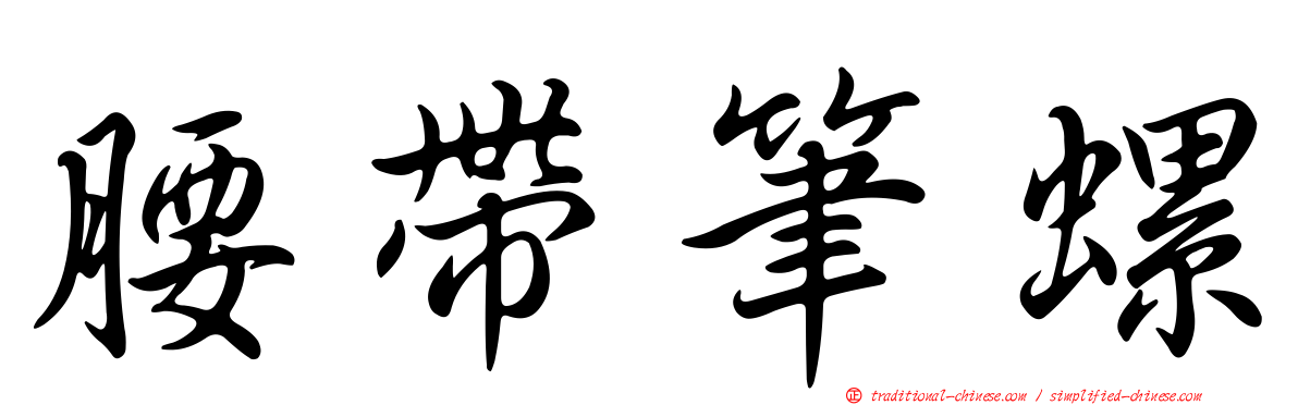 腰帶筆螺
