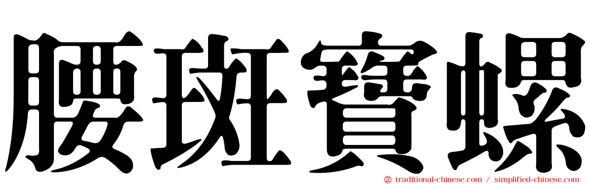 腰斑寶螺