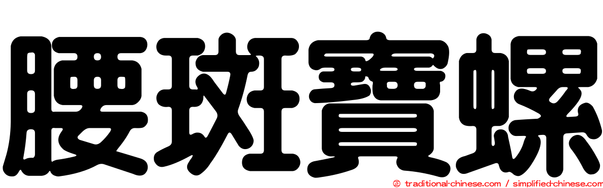 腰斑寶螺