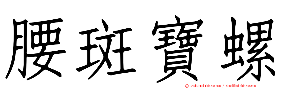 腰斑寶螺