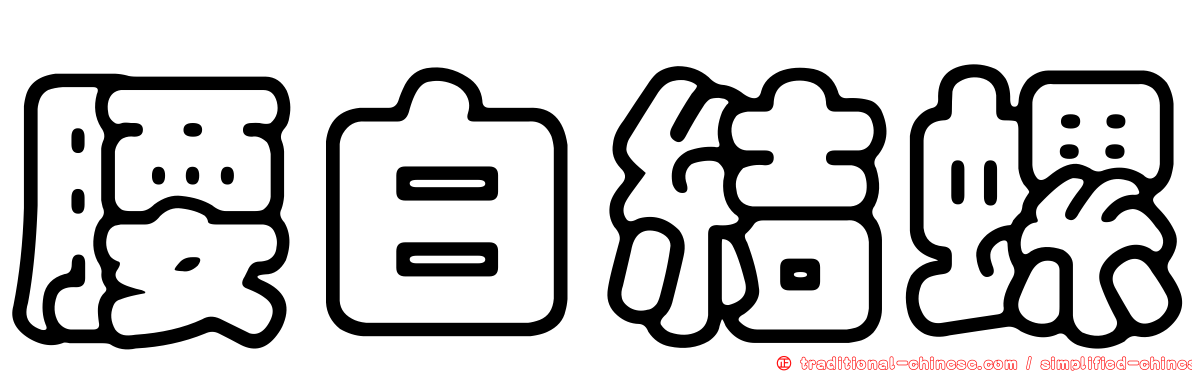 腰白結螺