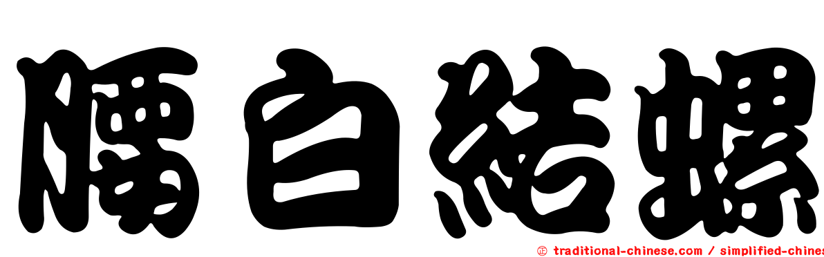 腰白結螺