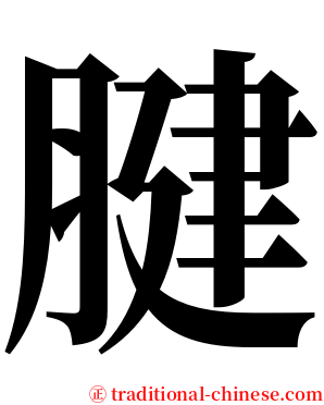 腱 serif font