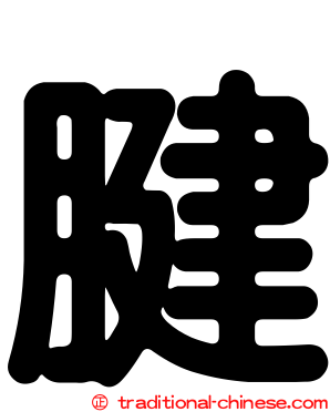 腱
