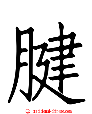 腱