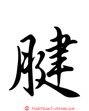 腱