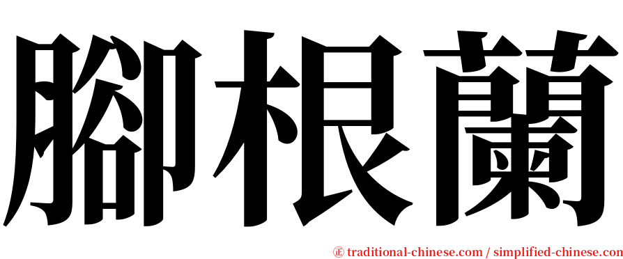 腳根蘭 serif font