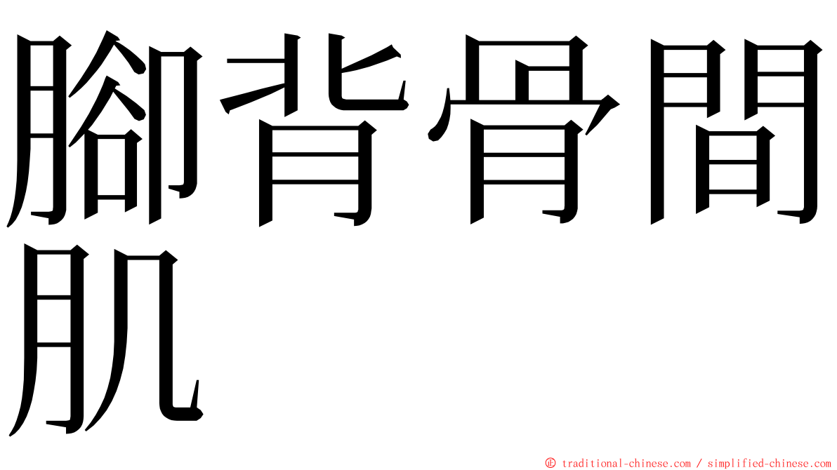 腳背骨間肌 ming font