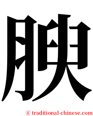 腴 serif font