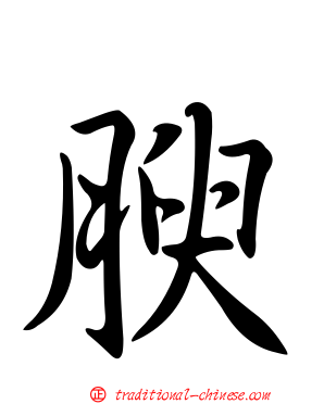 腴