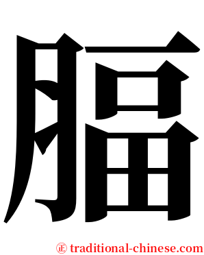 腷 serif font