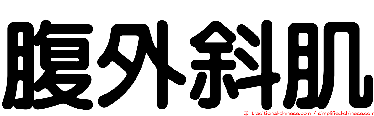腹外斜肌