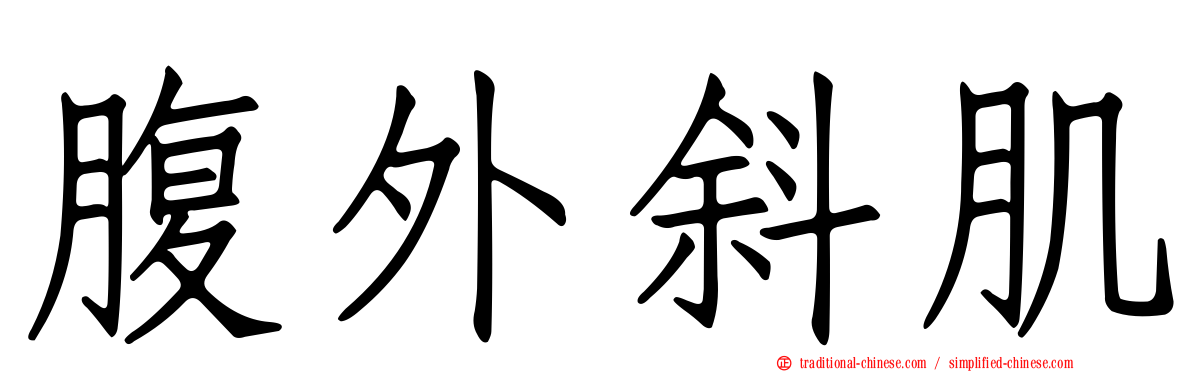 腹外斜肌