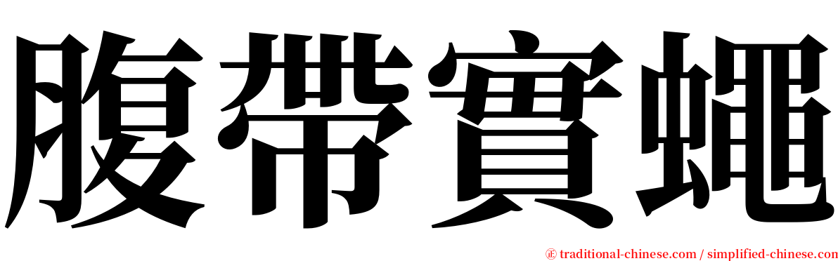 腹帶實蠅 serif font