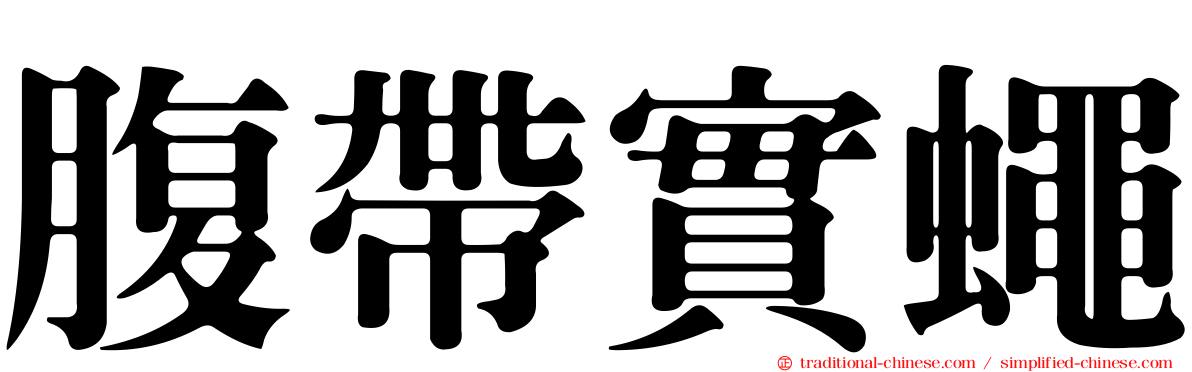 腹帶實蠅