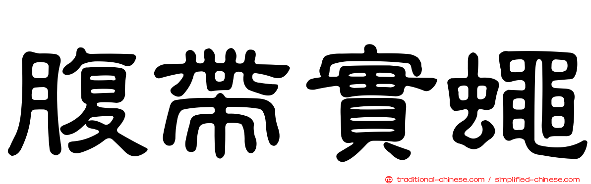 腹帶實蠅