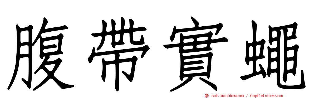 腹帶實蠅