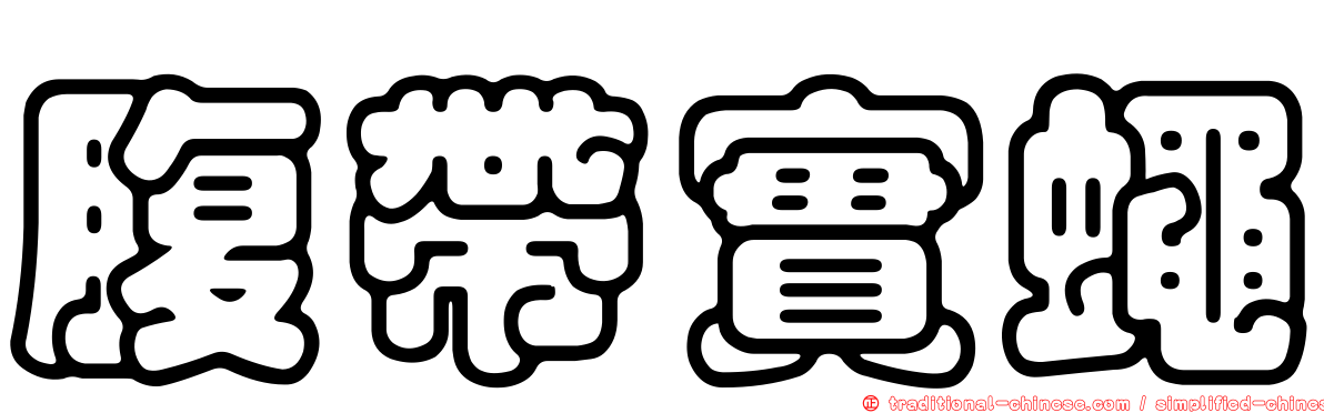 腹帶實蠅