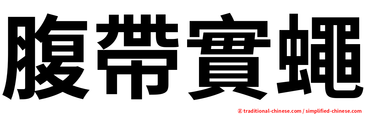 腹帶實蠅