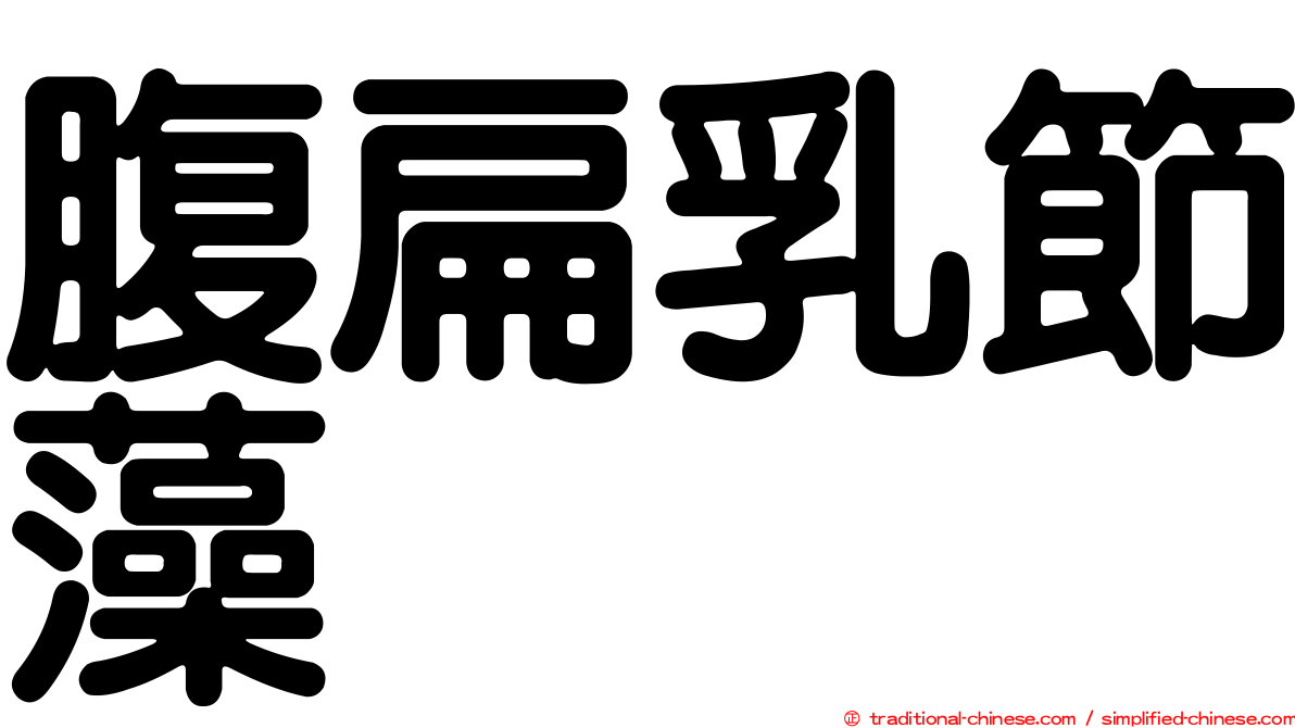 腹扁乳節藻