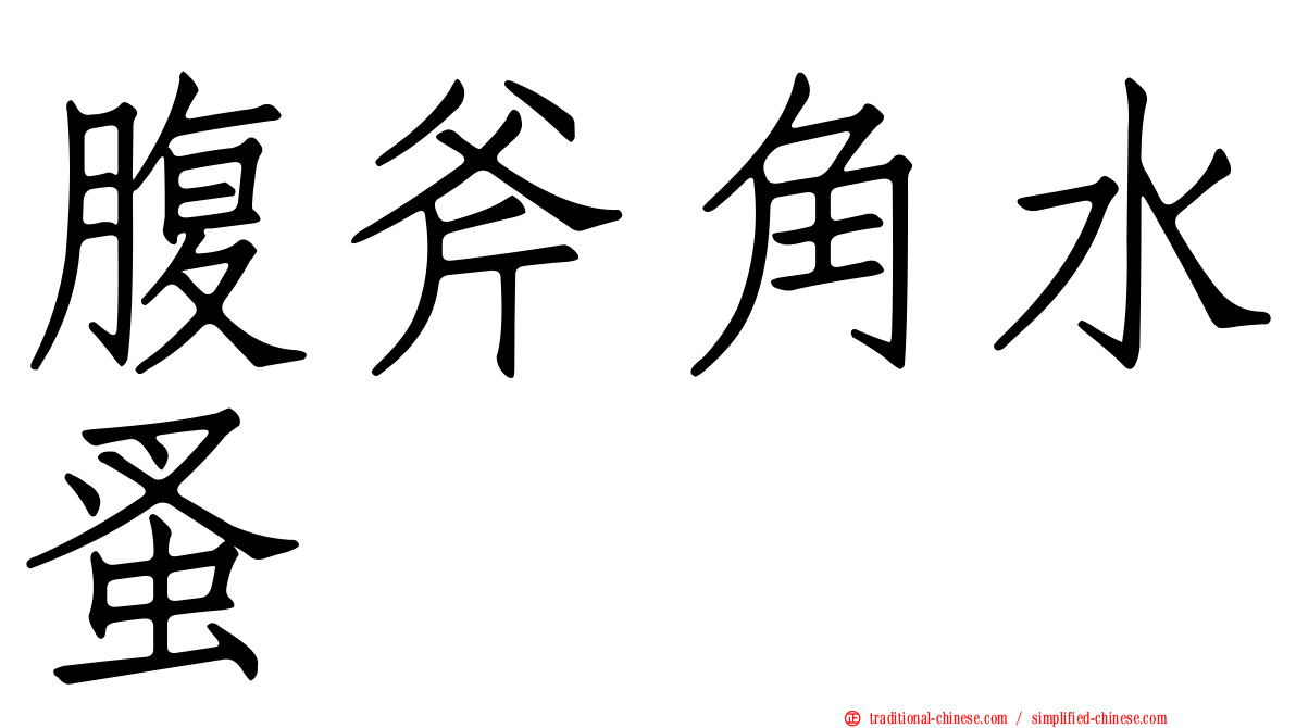 腹斧角水蚤