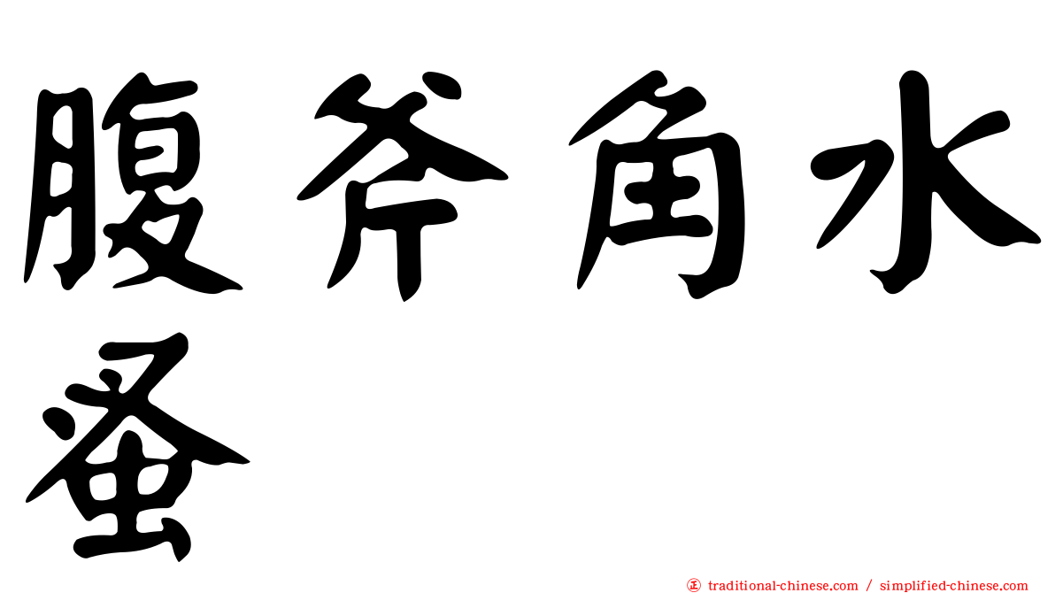 腹斧角水蚤