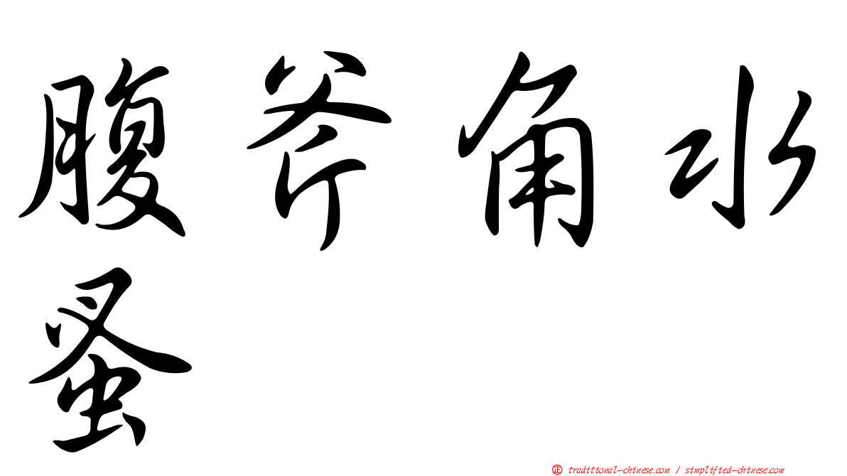 腹斧角水蚤