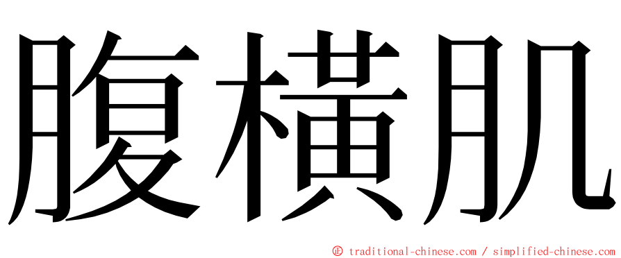 腹橫肌 ming font