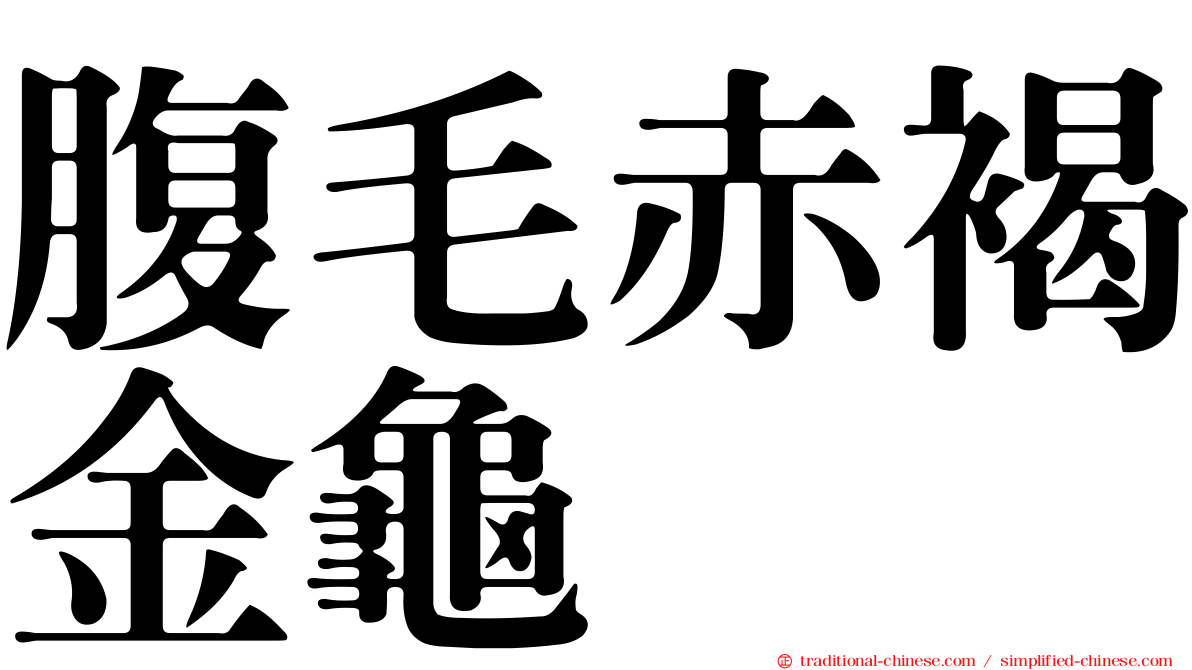 腹毛赤褐金龜