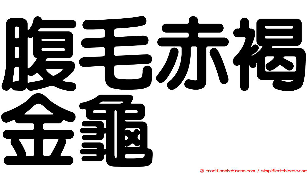 腹毛赤褐金龜