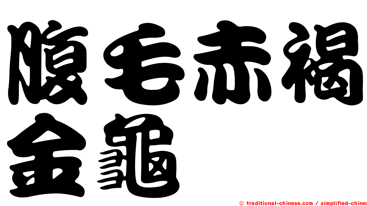 腹毛赤褐金龜