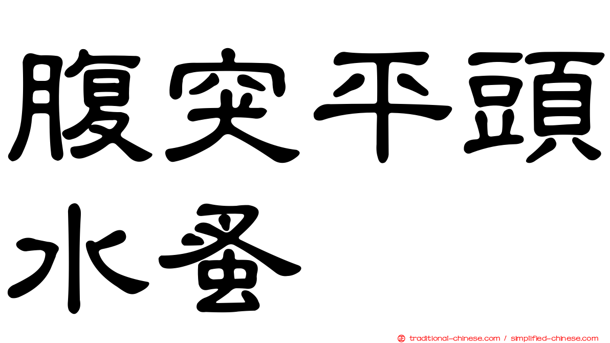腹突平頭水蚤