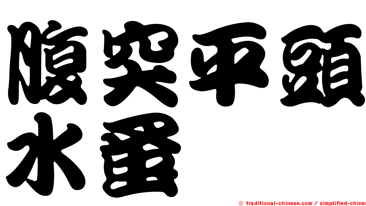 腹突平頭水蚤