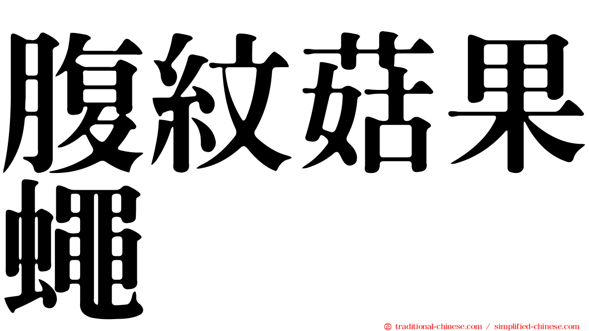 腹紋菇果蠅