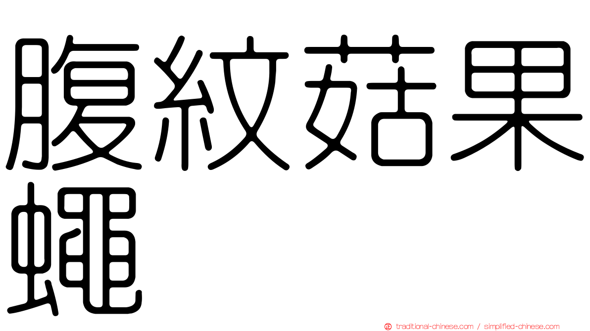 腹紋菇果蠅