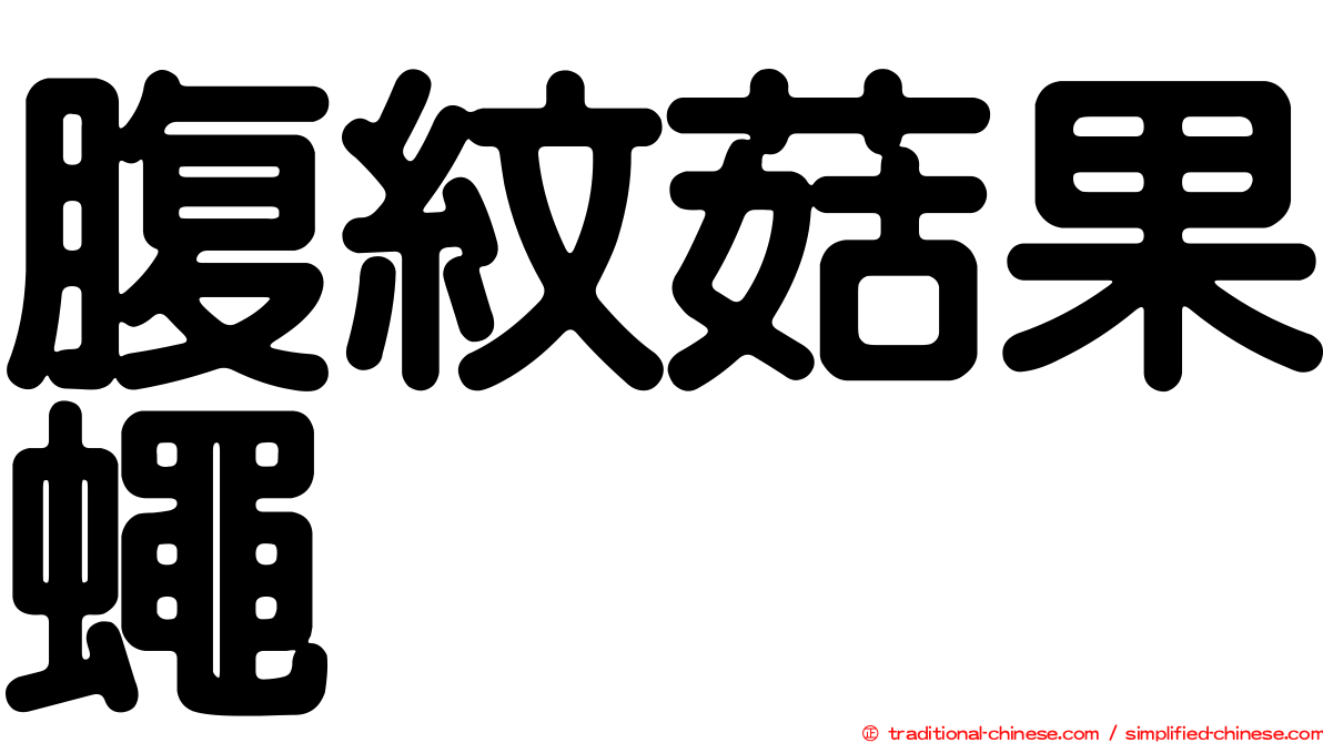 腹紋菇果蠅