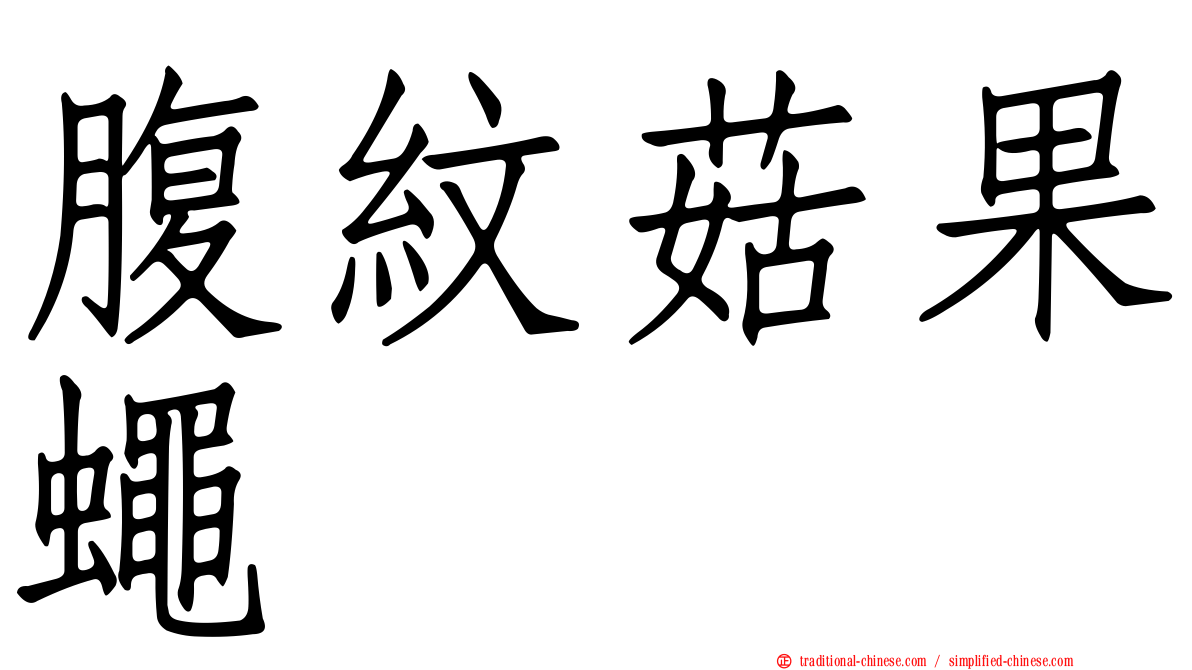 腹紋菇果蠅