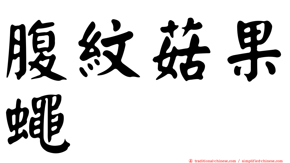 腹紋菇果蠅