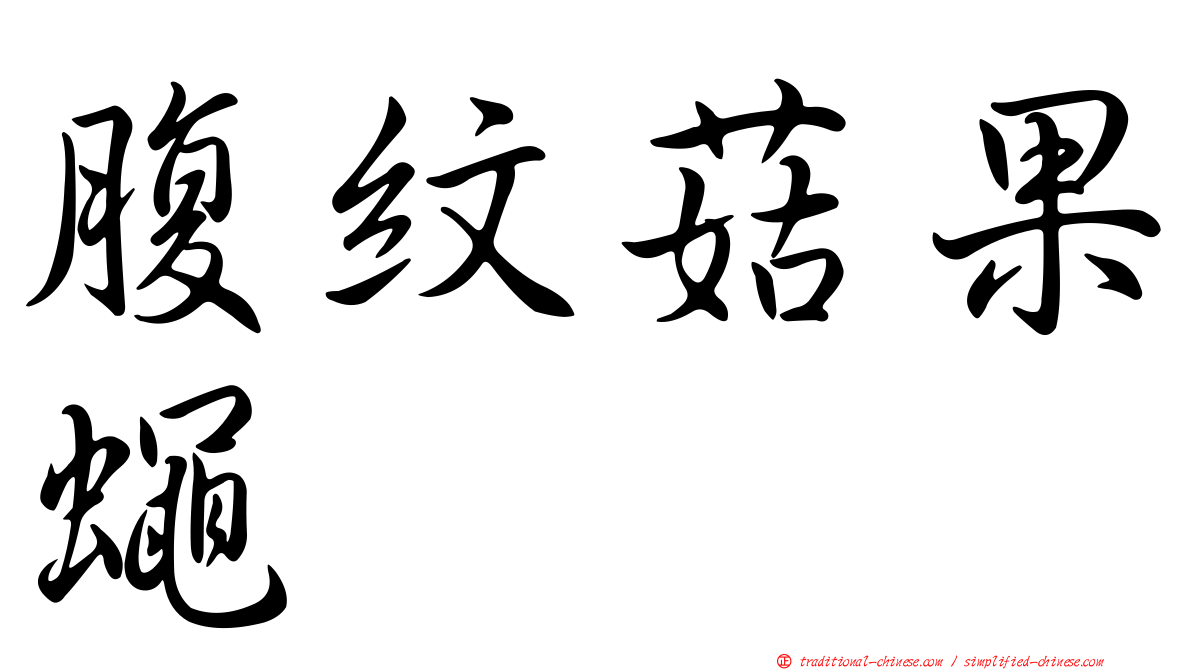 腹紋菇果蠅