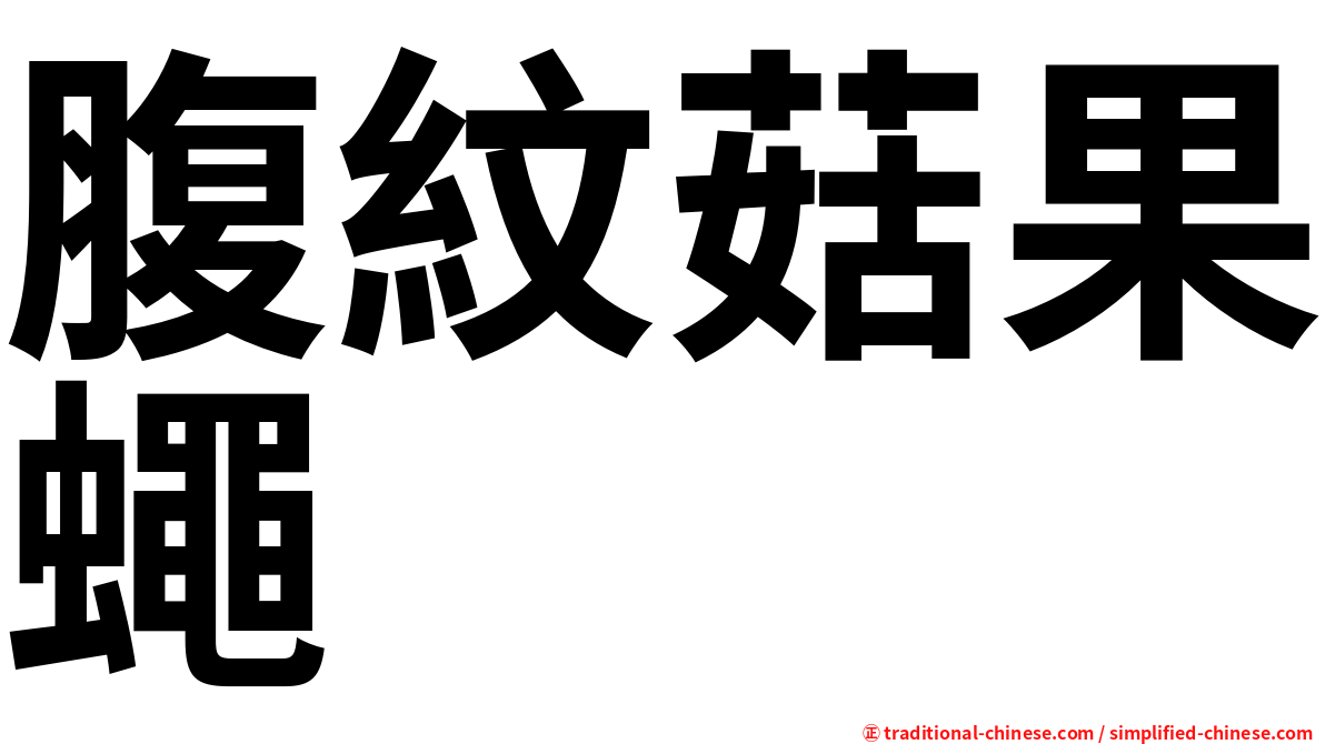 腹紋菇果蠅