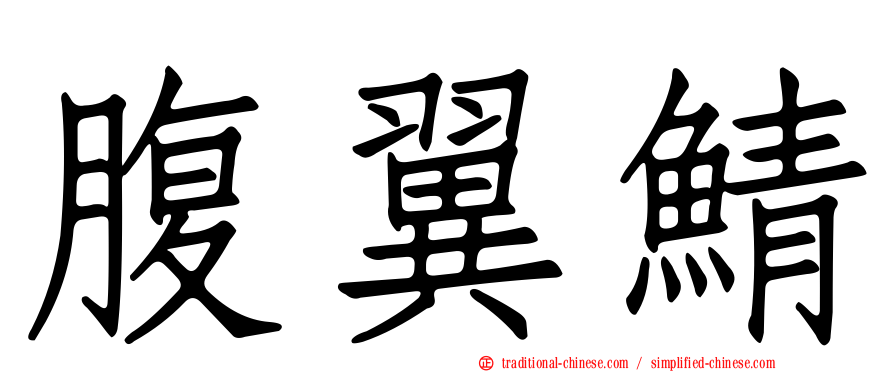 腹翼鯖