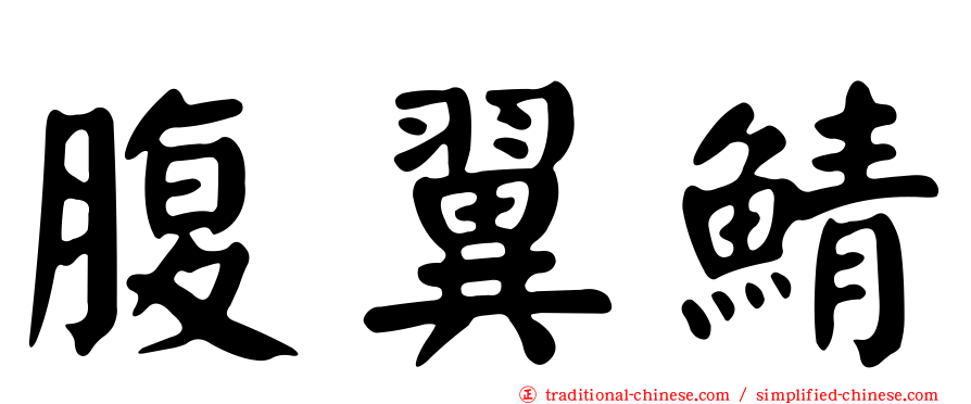 腹翼鯖